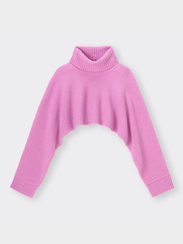 クロップドタートルネックセーター(長袖)YT+E