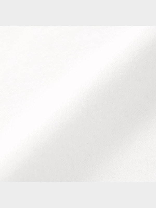 ビッグスウェットプルオーバー(長袖)(ドッグ1)NT+E