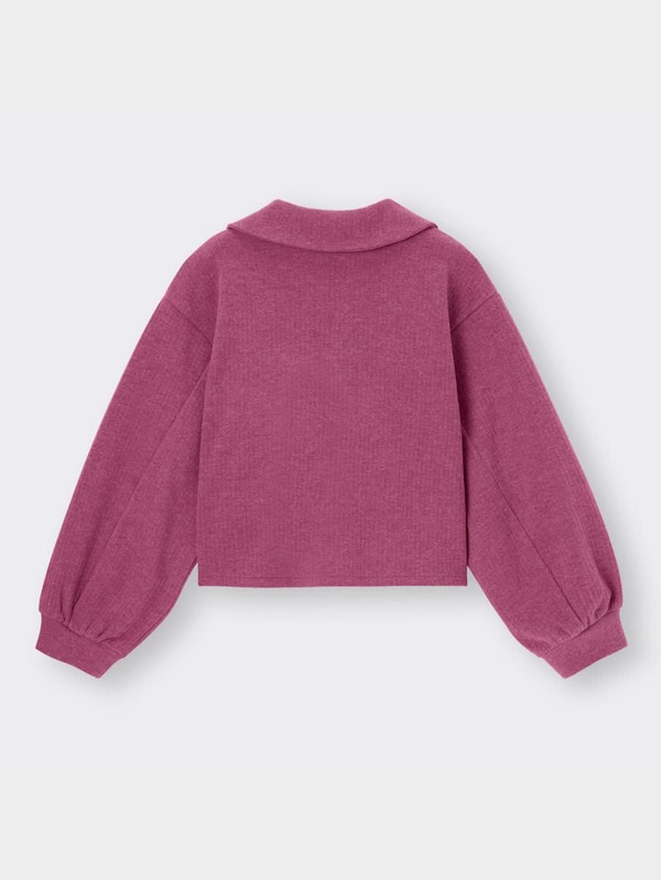 ブラッシュドリブビッグカラープルオーバー(長袖)(セットアップ可能)