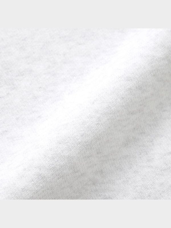 ヘビーウェイトスウェットプルオーバー(長袖) Harvard university 1