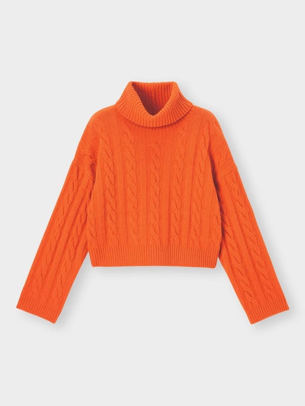 パフィータッチクロップドタートルネックセーター(長袖)