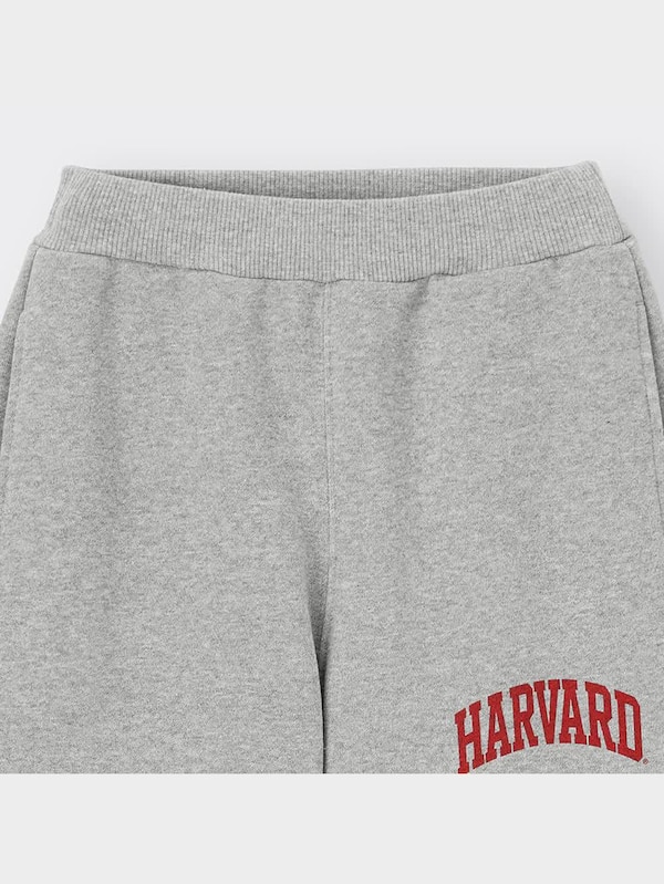 BOYS裏起毛ヘビーウェイトスウェットパンツ Harvard university