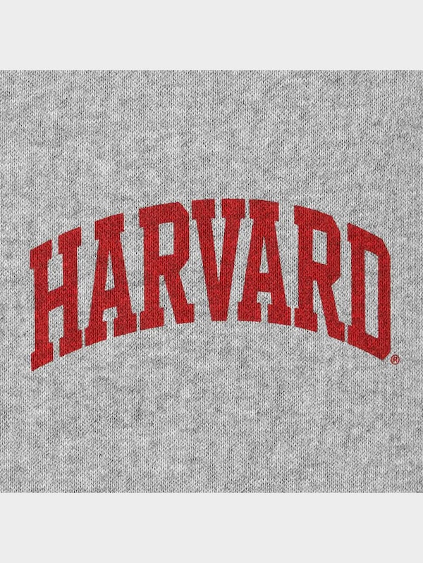 BOYS裏起毛ヘビーウェイトスウェットパンツ Harvard university