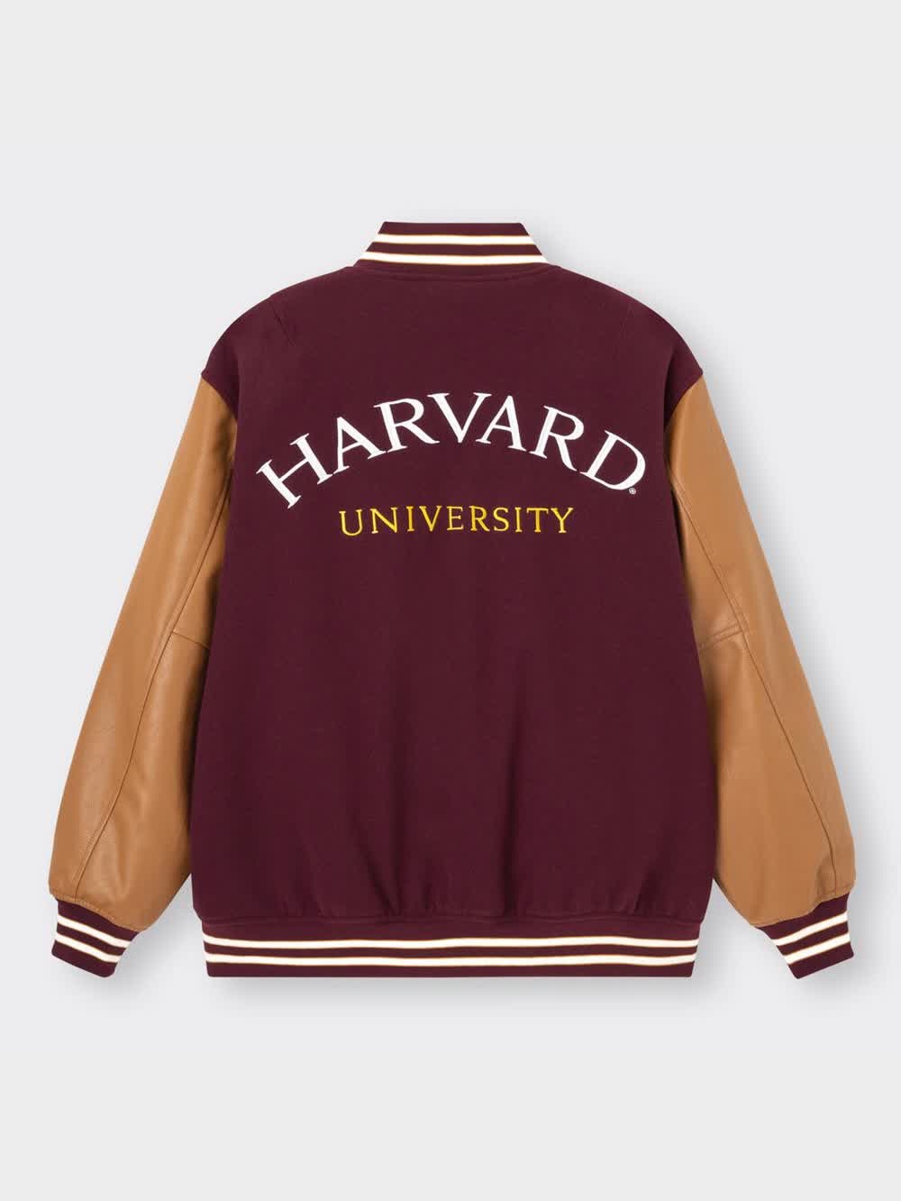 パデッドスタジャン Harvard university