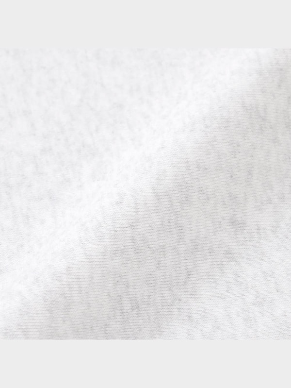 ヘビーウェイトビッグスウェットプルオーバー(長袖) Pokemon 2