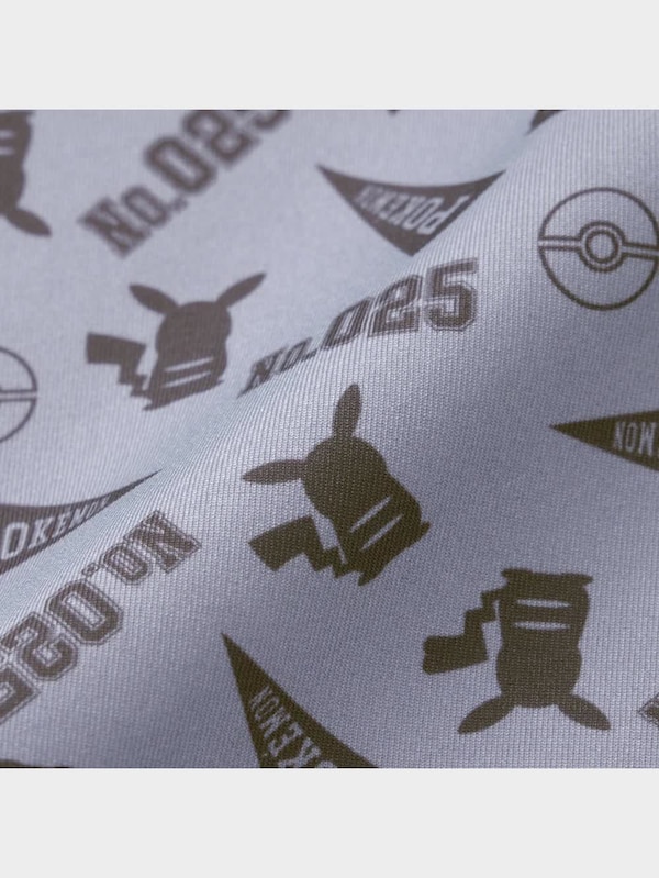 ドライボクサーパンツ(レギュラーライズ) Pokemon 3