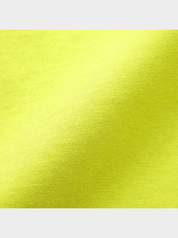 BOYSスパンコールT(半袖)(ブラキオサウルス)