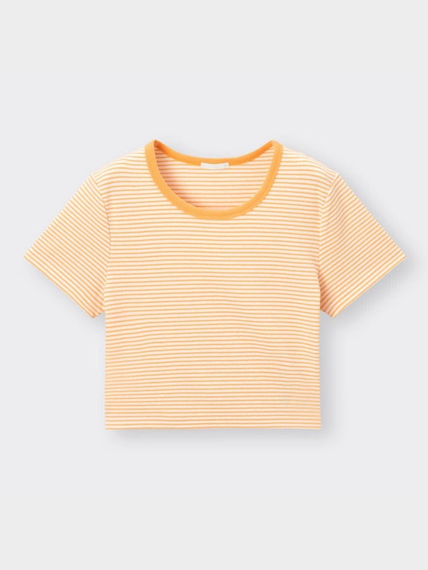 リブミニT(半袖)(ボーダー)Q+X