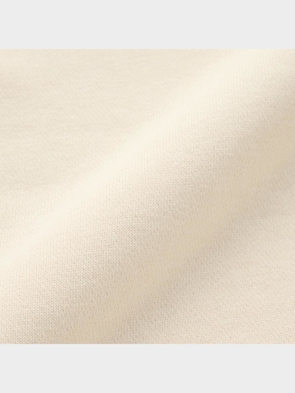 グラフィックスウェットプルオーバー(長袖)YT+EC