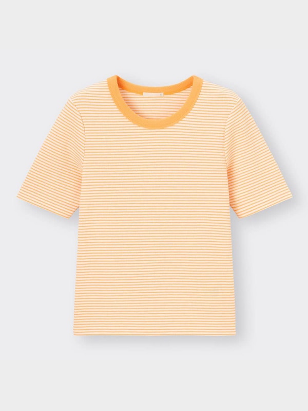 リブT(半袖)(ボーダー)+E