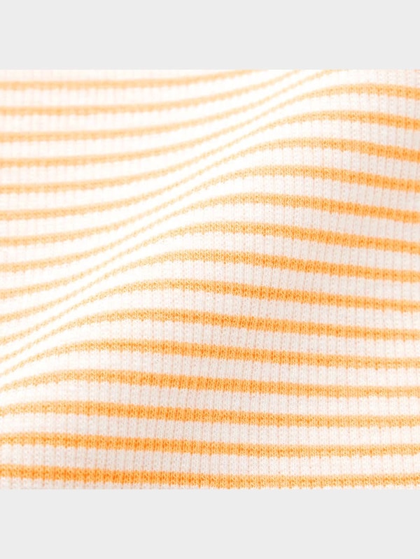 リブT(半袖)(ボーダー)+E