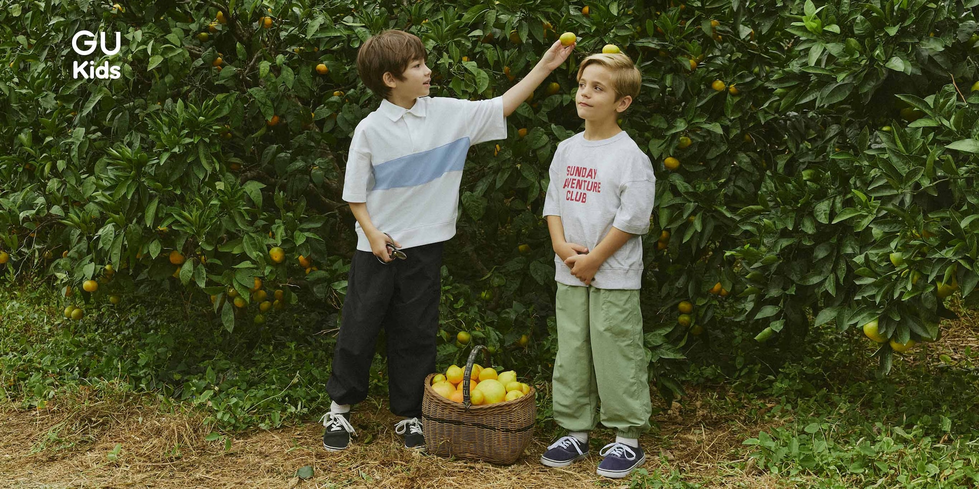 search_BOYS(ボーイズ)