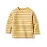 Toddler (2-5 Years)