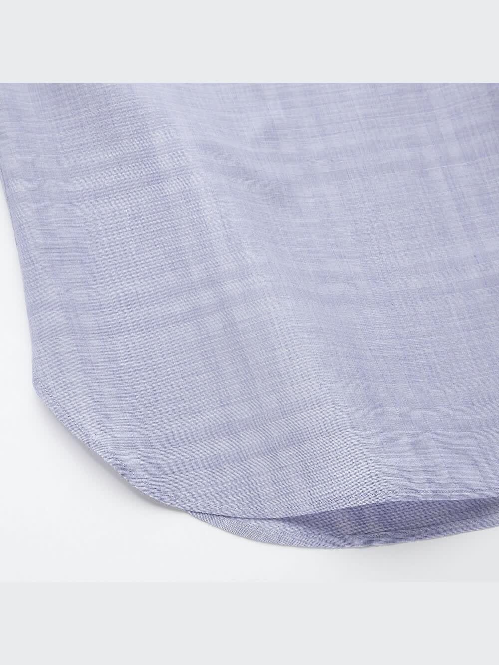 皿に書いた絵です 楽天市場】江戸っ子恐竜 しあわせ図鑑(まめ皿4枚セット) EK88-Y01