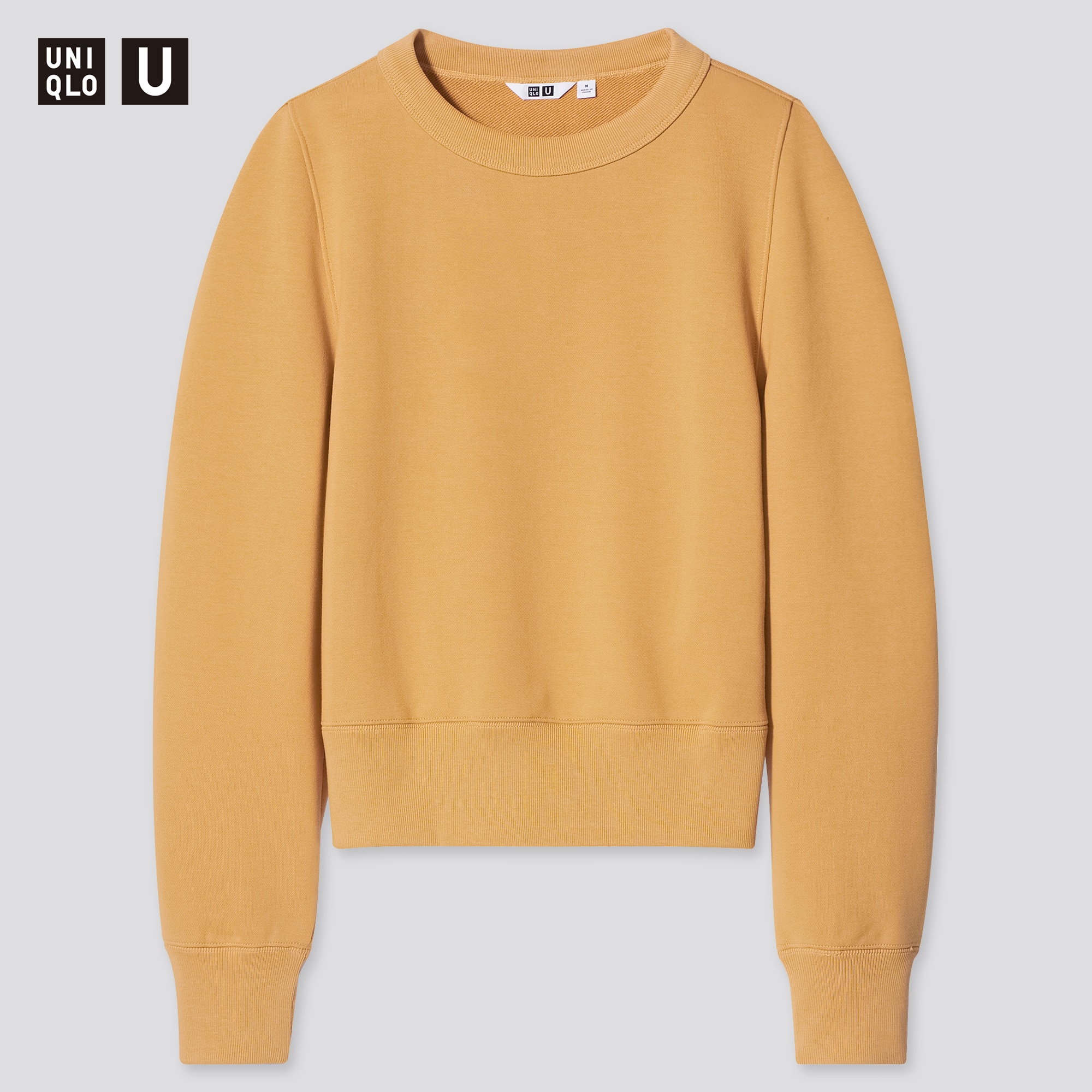 uniqlo hoodie pullover