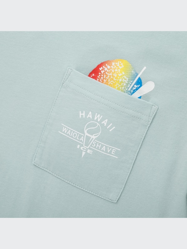 ザ・ブランズ ハワイアン ロコ UT グラフィックTシャツ（半袖・レギュラーフィット）