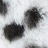 default image