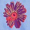 default image