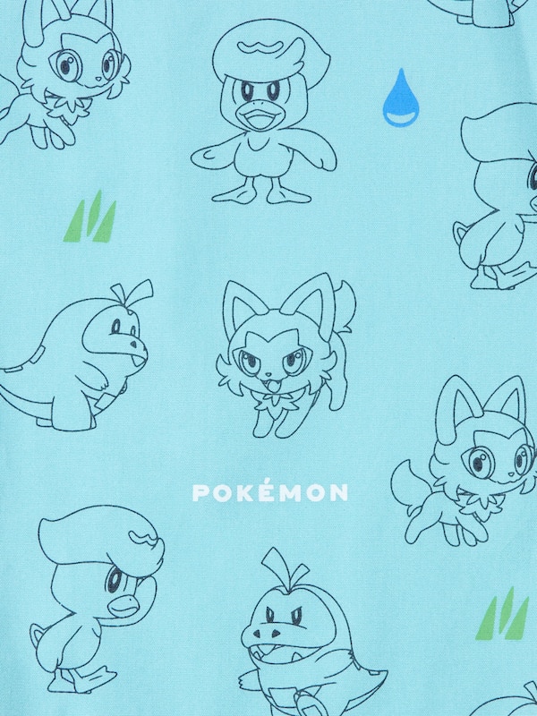 ポケモン：ニュー・アドベンチャー ステテコ