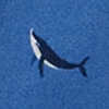 default image
