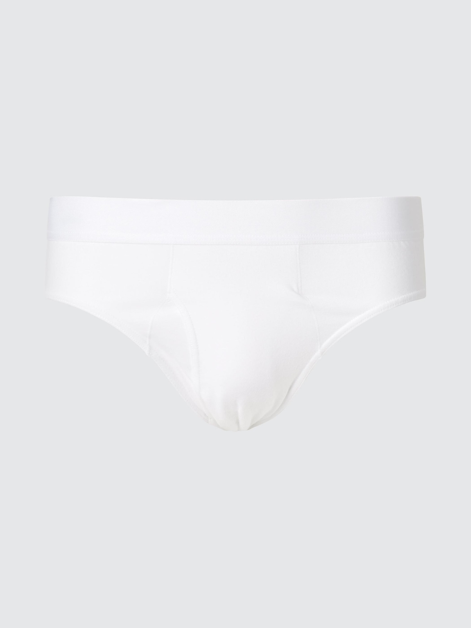 Briefs