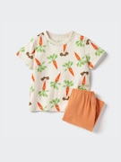 Picture Book Bộ Pyjama Vải Dry