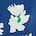 default image