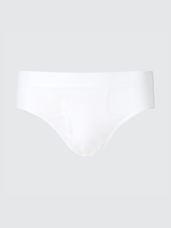 Briefs