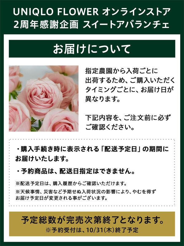 予約商品 オンライン2周年企画 スイートアバランチェ