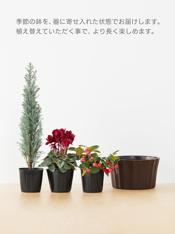 季節限定 寄せカゴ