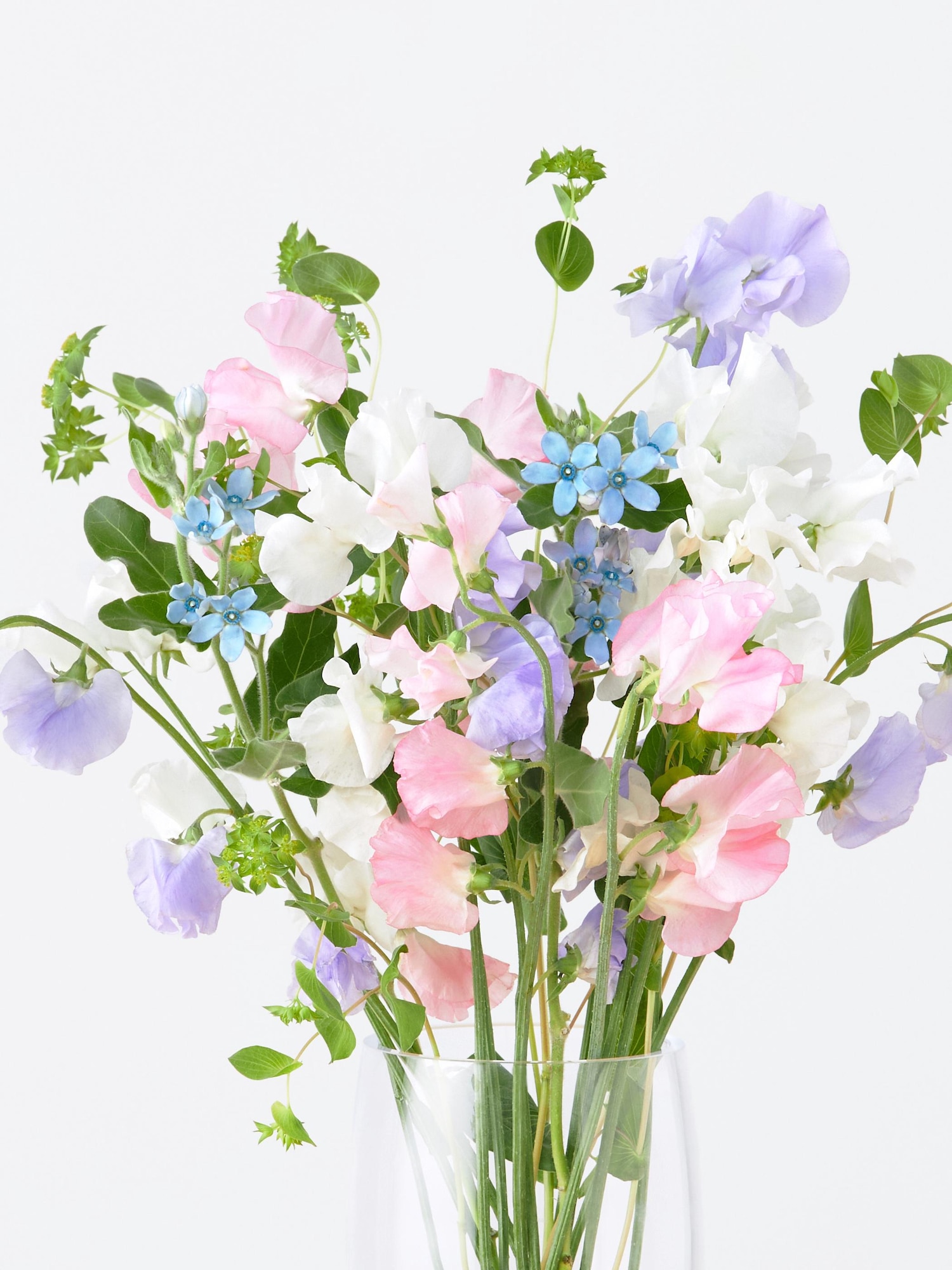 ユニクロ公式 | 季節限定 スイートピーブーケ