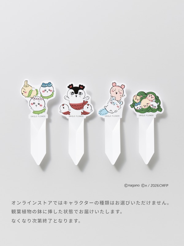 カラテア