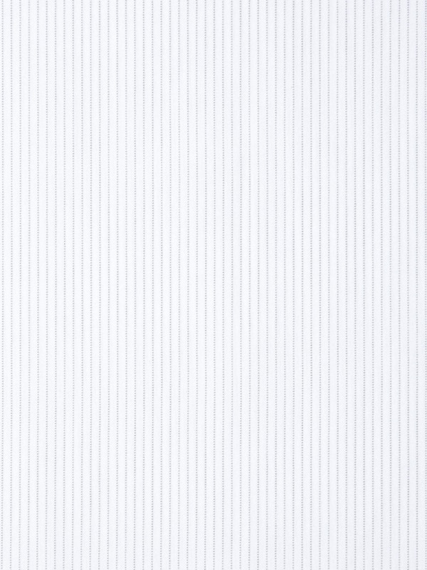 スーパーノンアイロンジャージースリムシャツ/ボタンダウン/ストライプ