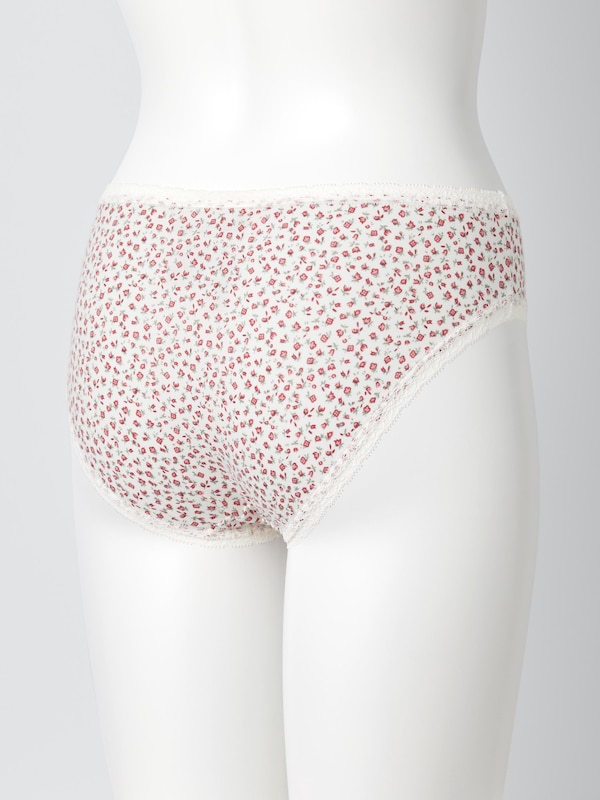 Middle Waist Briefs
