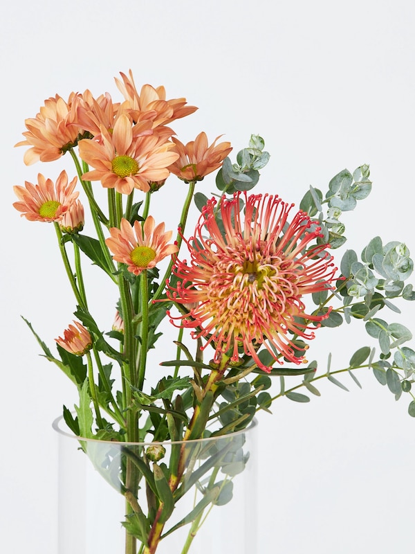 季節限定 ピンクッション