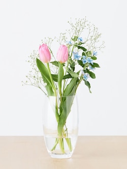 季節限定 チューリップ