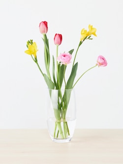 季節限定 ラナンキュラス