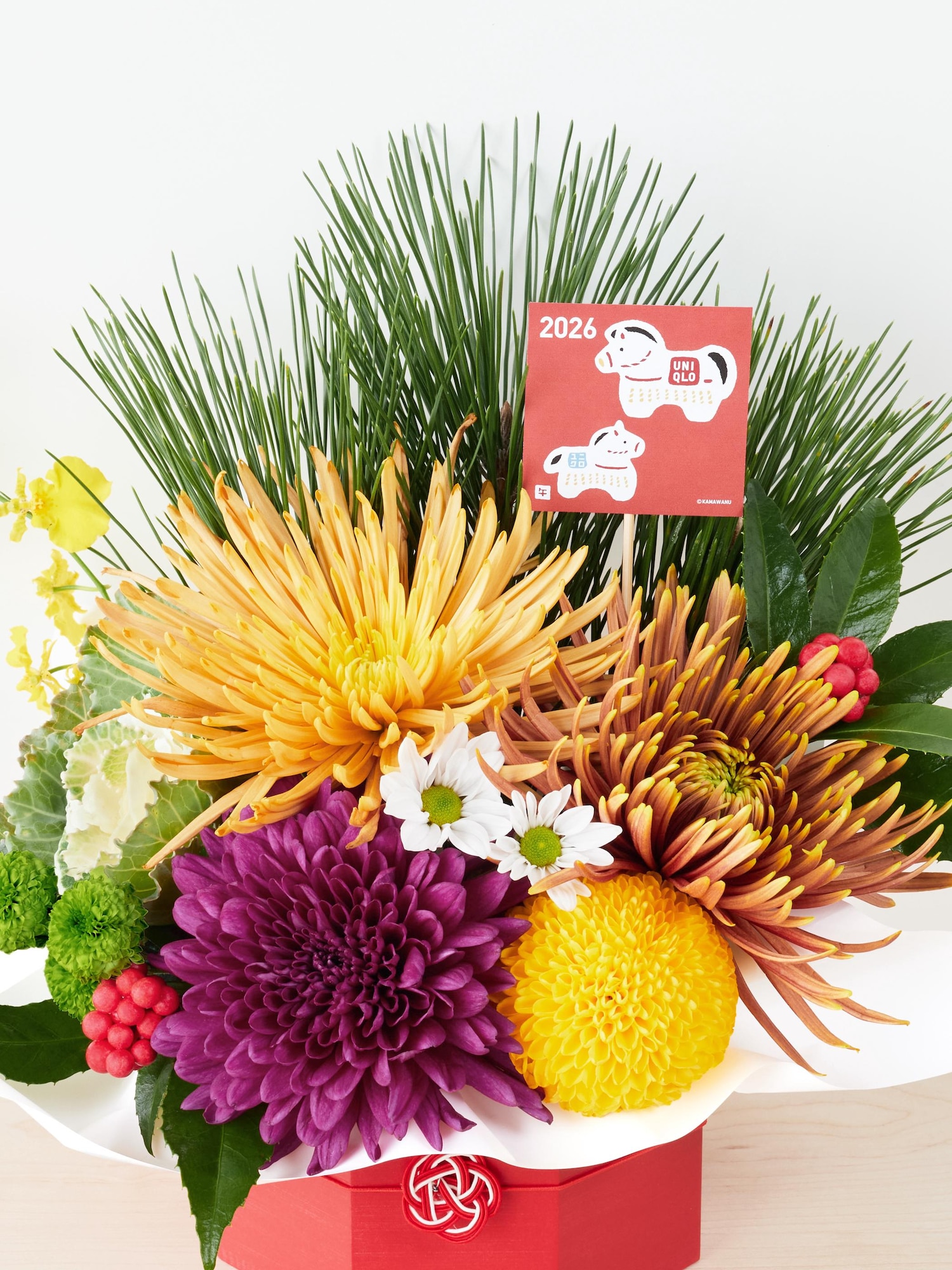 迎春アレンジストレチア他3点 迎春アレンジ・ストレチア3点 迎春アレンジストレチア他3点 楽天市場