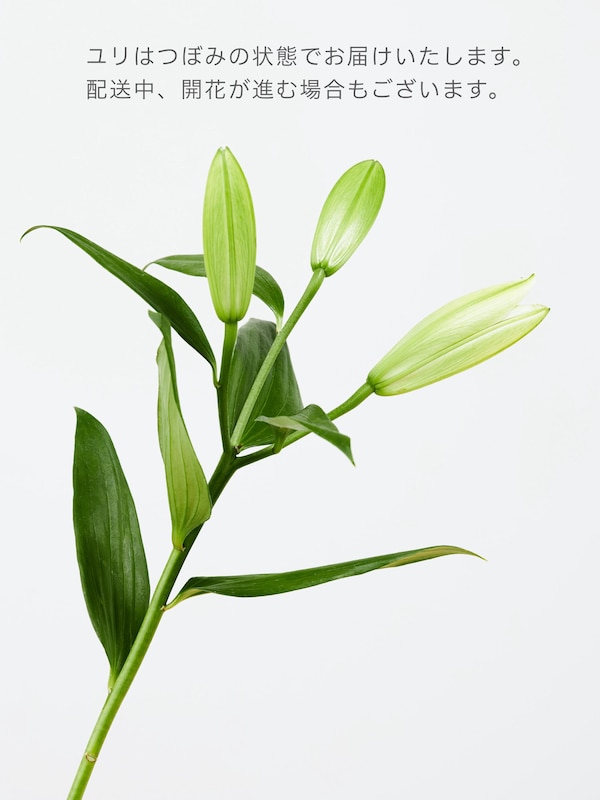 ミックスブーケ