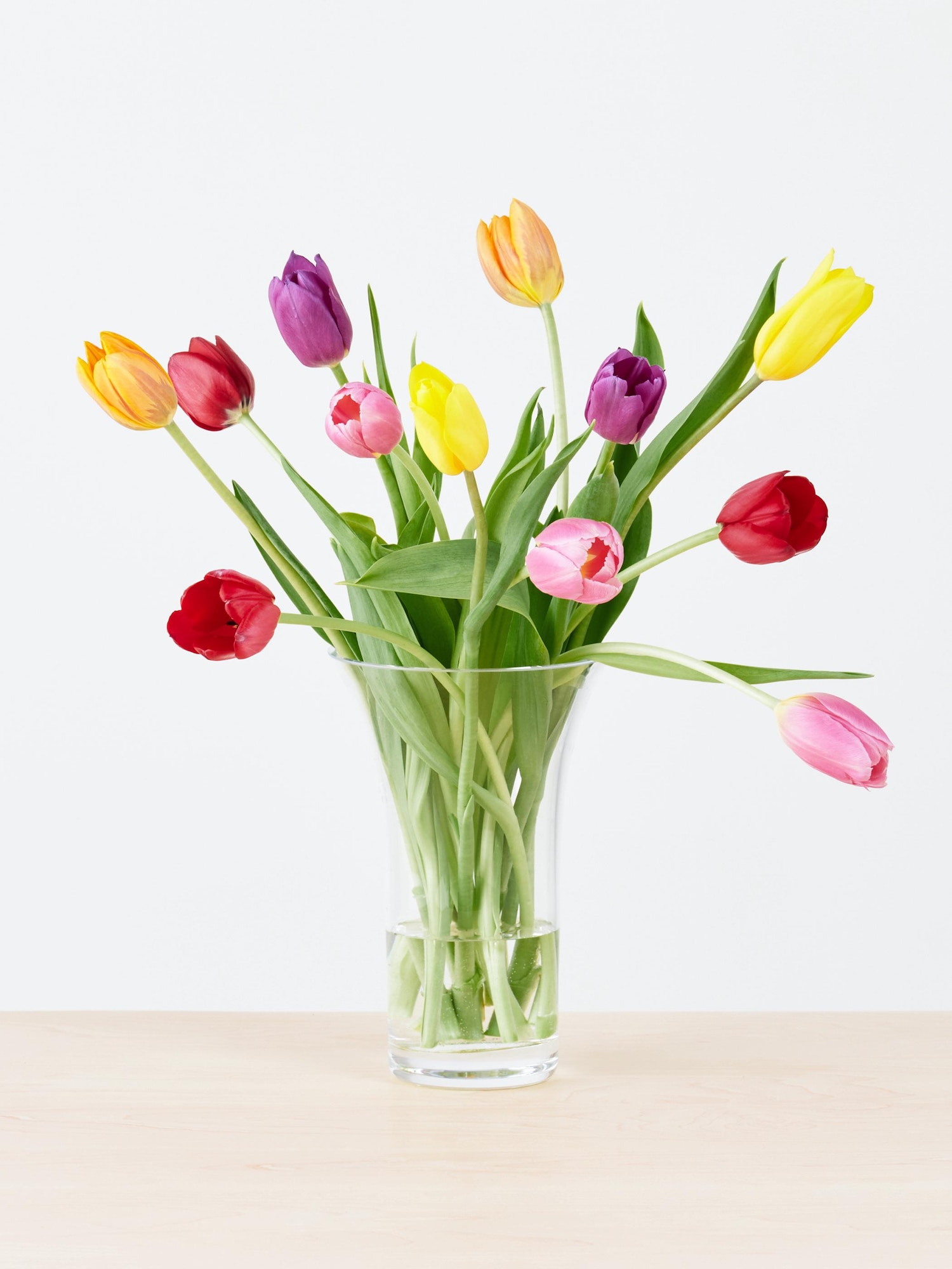 ユニクロ公式 | 季節限定 チューリップブーケ