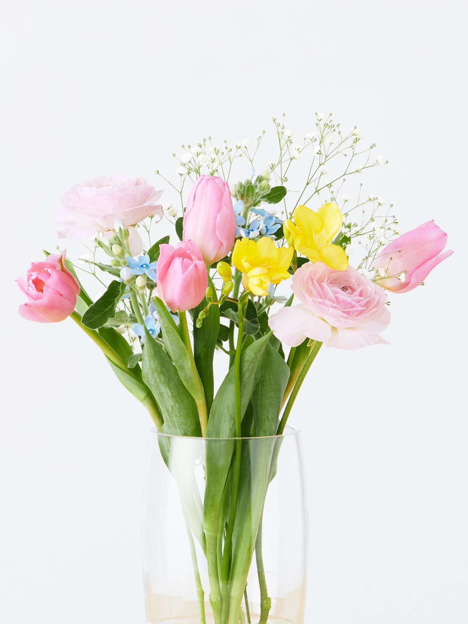 ユニクロ公式 | 季節限定 ラナンキュラスブーケ