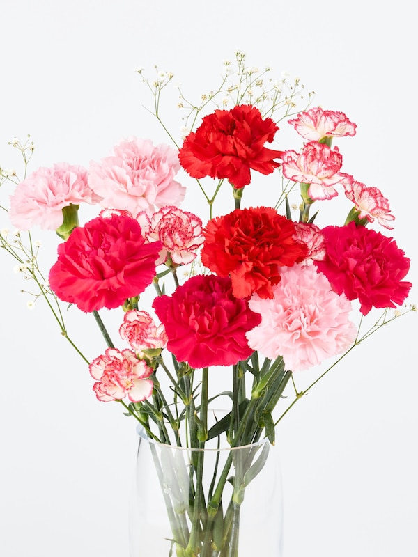 【予約商品】母の日ブーケ（ピンク）