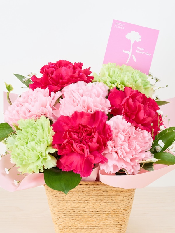 【予約商品】母の日アレンジメント（ピンク）