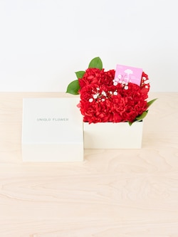 【予約商品】Lサイズ 母の日ボックスフラワー/UVカットシームレスアームカバー