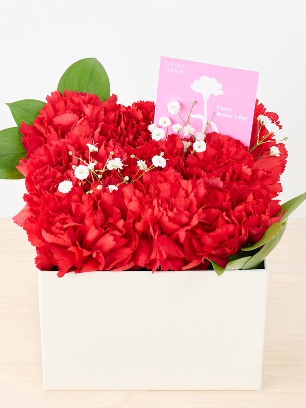 【予約商品】母の日ギフトセット（ボックスフラワー＆アームカバーLサイズ）