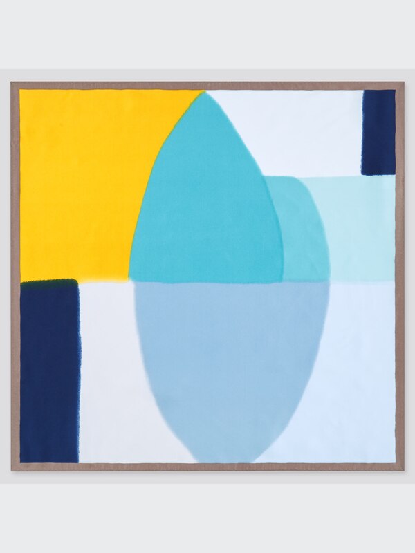 Silk Color Block Printed Scarf