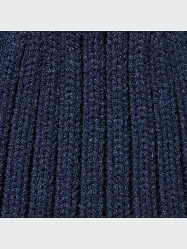 HEATTECH Ribbed Beanie (2022 Edition)