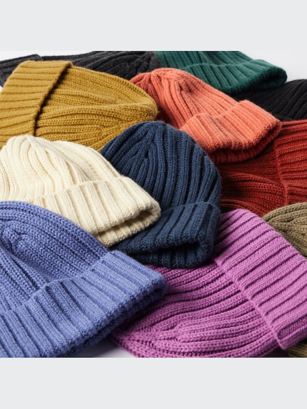 HEATTECH Ribbed Beanie (2022 Edition)