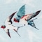 Paul & Joe UT Camiseta Estampada Tirantes Pájaros Mujer