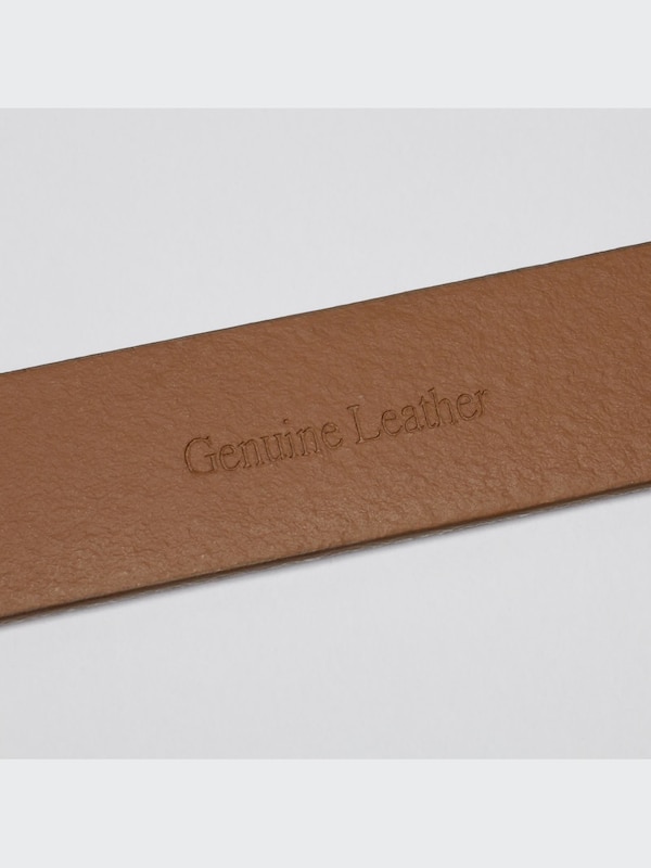 Clean Belt